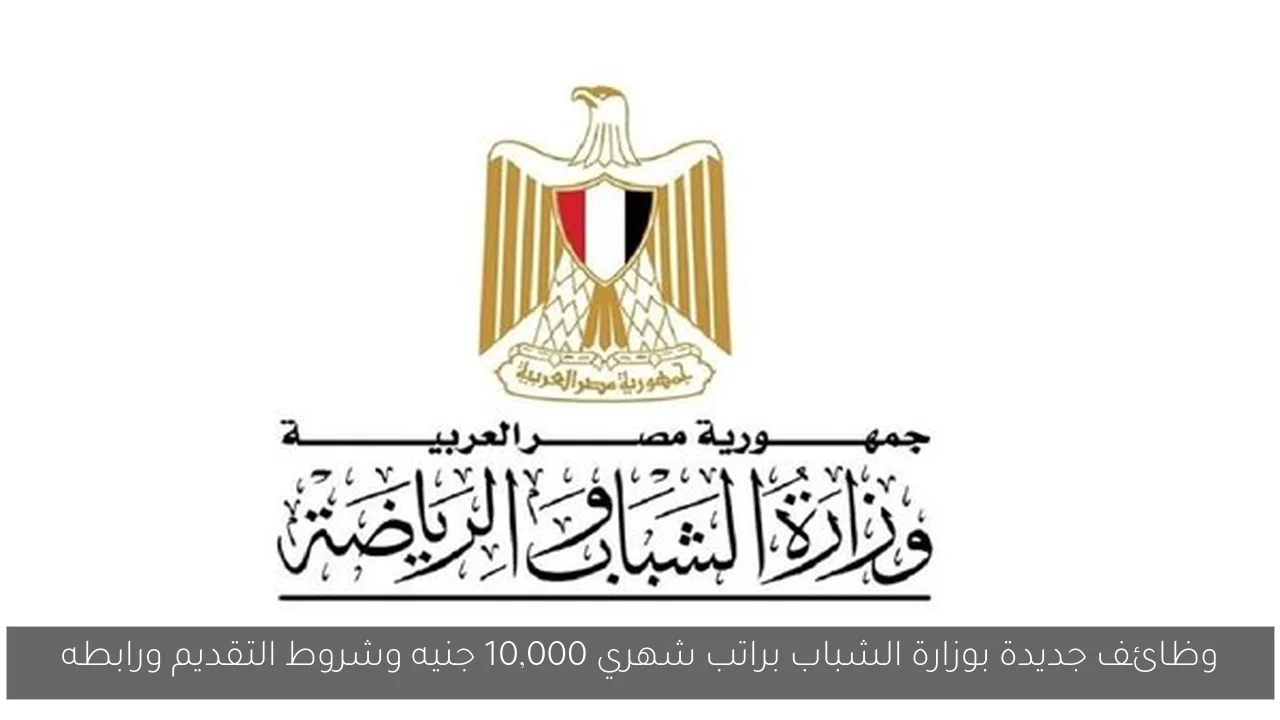 وظائف جديدة بوزارة الشباب براتب شهري 10,000 جنيه وشروط التقديم ورابطه