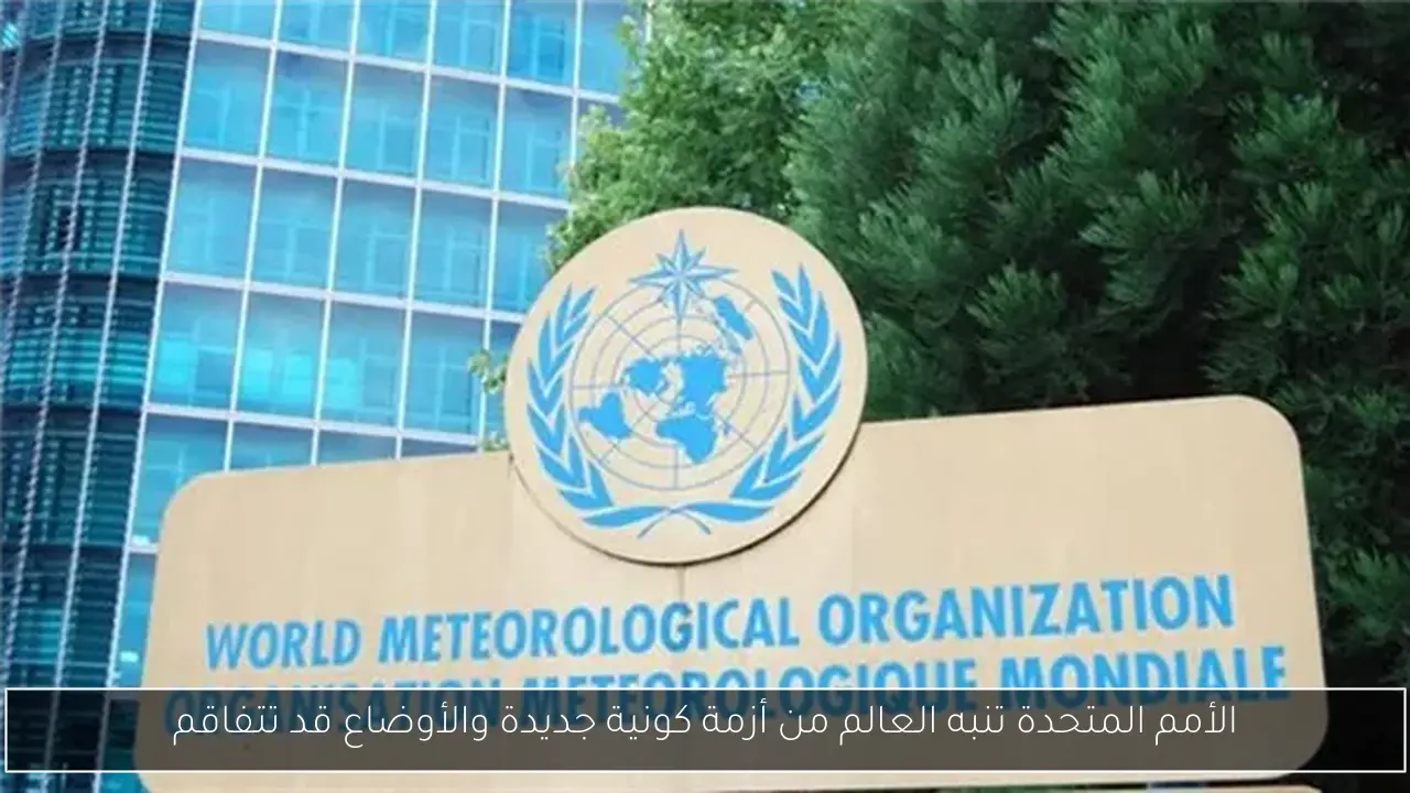 خفض أسعار الأسمنت قريبًا مع إعادة تشغيل 9 خطوط إنتاج وزيادة المعروض