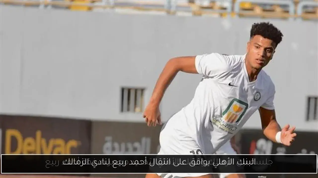 البنك الأهلي يوافق على انتقال أحمد ربيع لنادي الزمالك