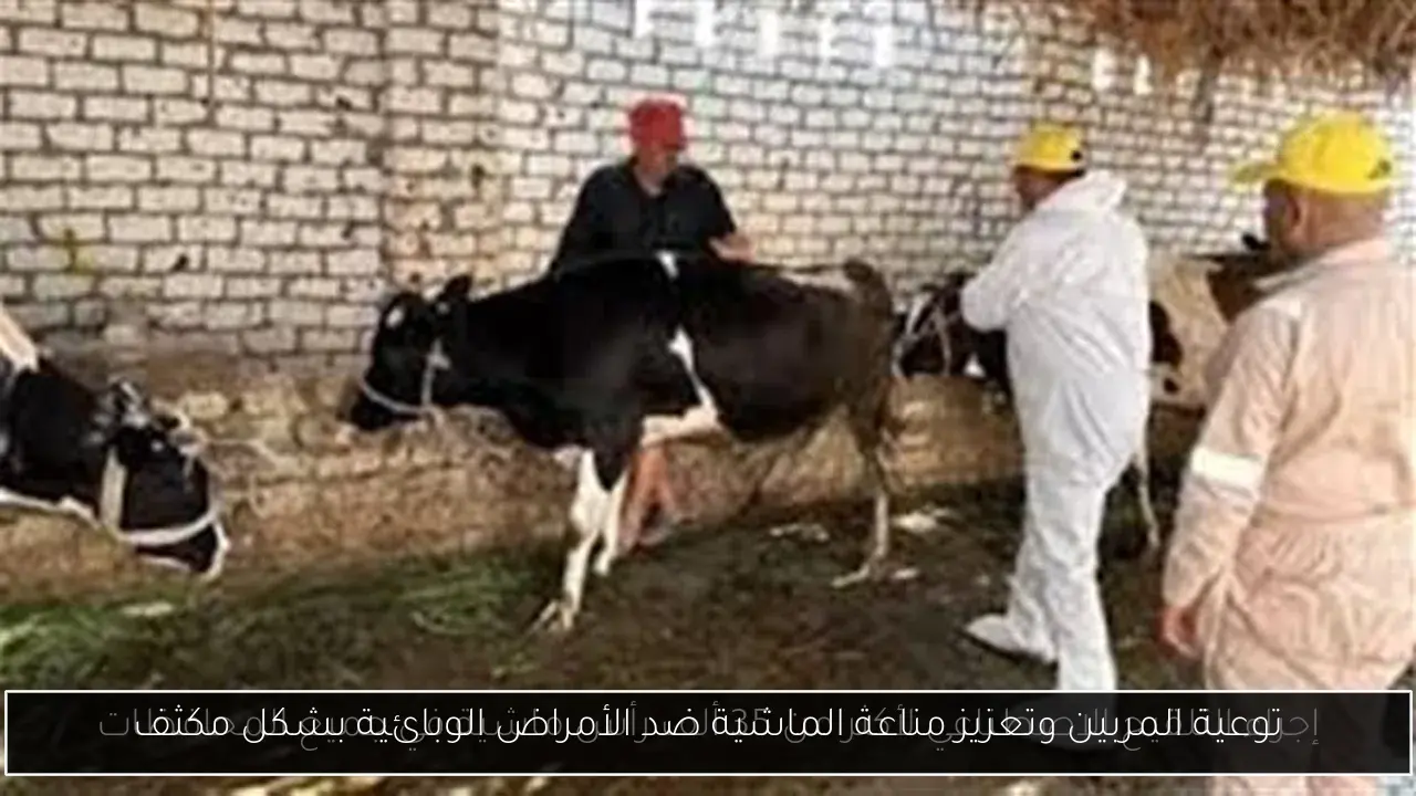 توعية المربين وتعزيز مناعة الماشية ضد الأمراض الوبائية بشكل مكثف