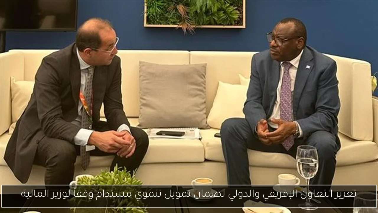 تعزيز التعاون الإفريقي والدولي لضمان تمويل تنموي مستدام وفقاً لوزير المالية