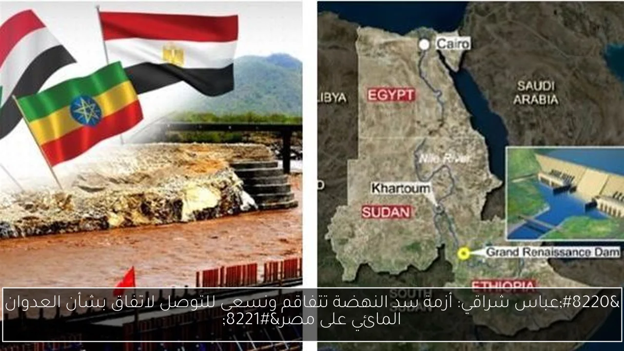 “عباس شراقي: أزمة سد النهضة تتفاقم ونسعى للتوصل لاتفاق بشأن العدوان المائي على مصر”