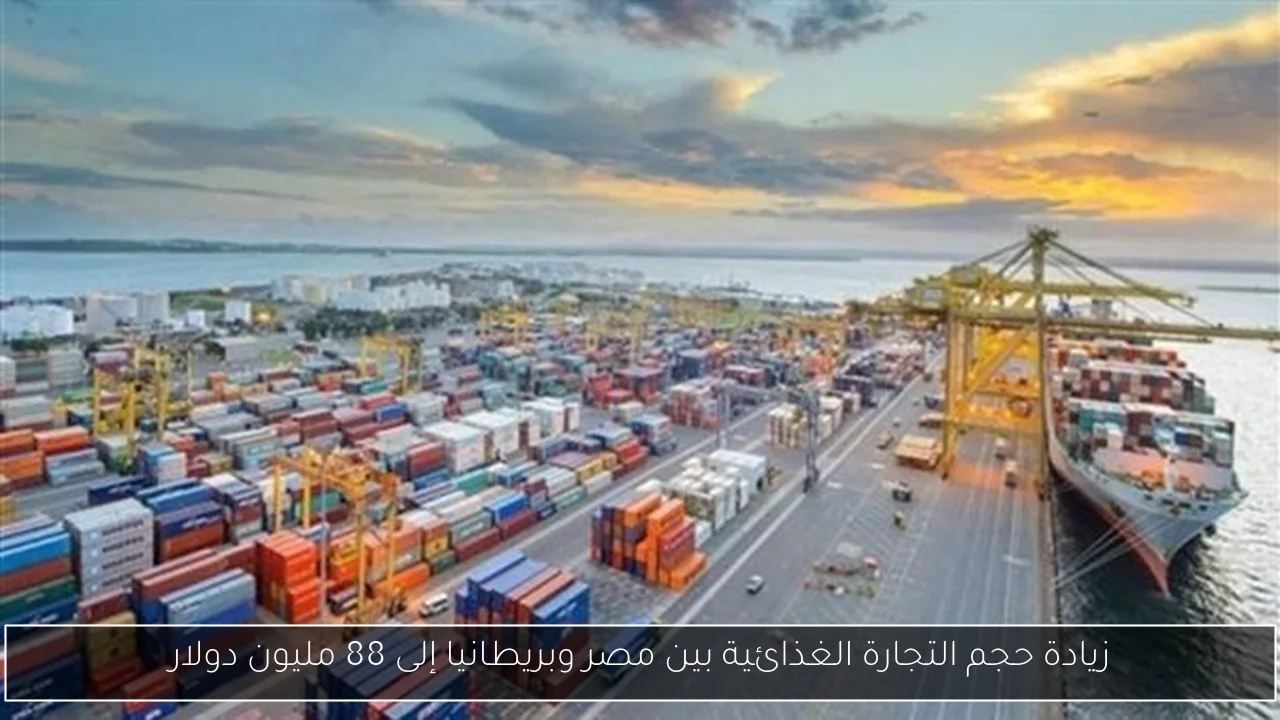 زيادة حجم التجارة الغذائية بين مصر وبريطانيا إلى 88 مليون دولار