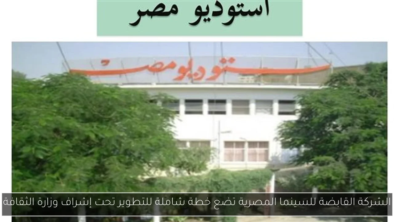 الشركة القابضة للسينما المصرية تضع خطة شاملة للتطوير تحت إشراف وزارة الثقافة