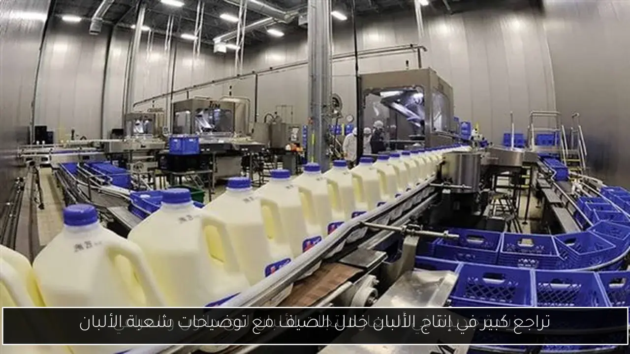 تراجع كبير في إنتاج الألبان خلال الصيف مع توضيحات شعبة الألبان