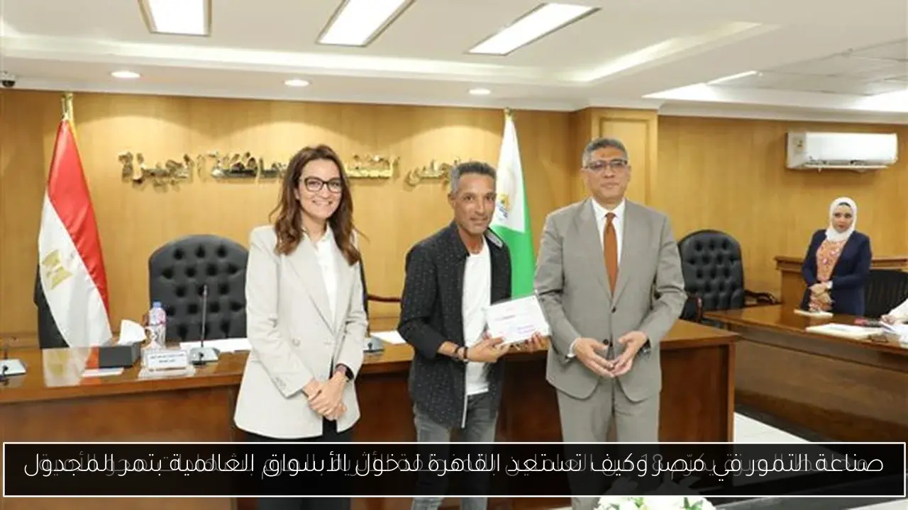 صناعة التمور في مصر وكيف تستعد القاهرة لدخول الأسواق العالمية بتمر المجدول