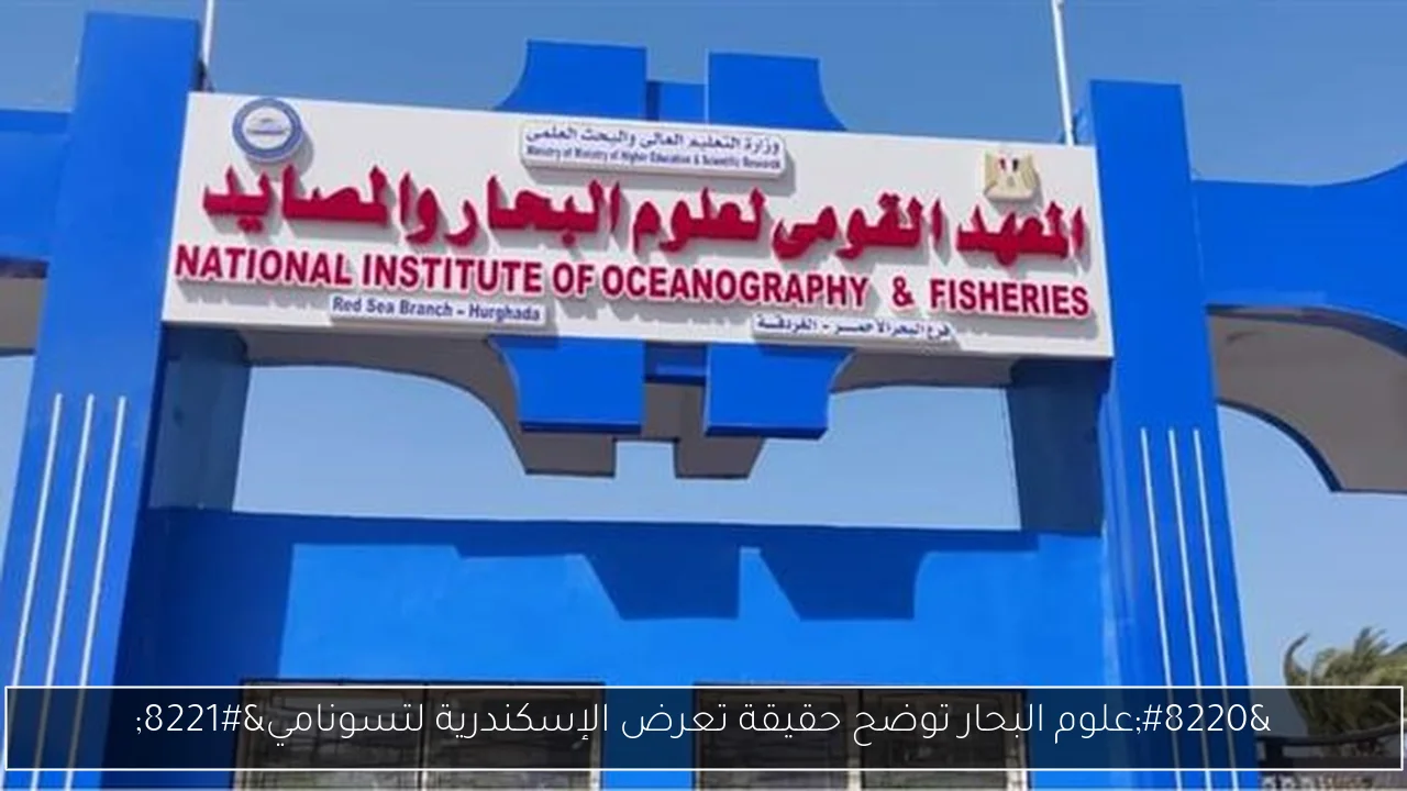 “علوم البحار توضح حقيقة تعرض الإسكندرية لتسونامي”