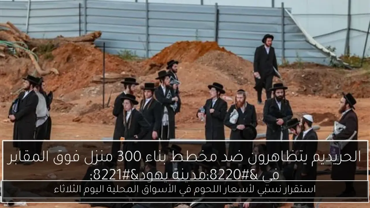 استقرار نسبي لأسعار اللحوم في الأسواق المحلية اليوم الثلاثاء