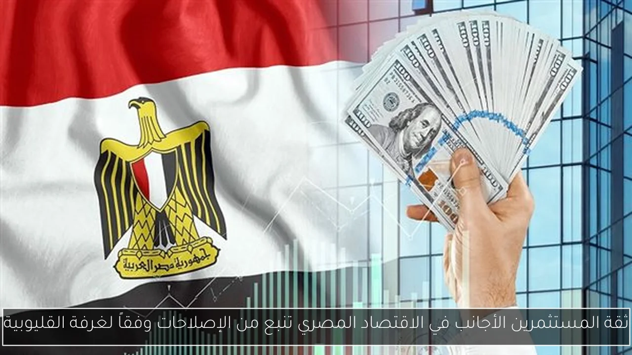 ثقة المستثمرين الأجانب في الاقتصاد المصري تنبع من الإصلاحات وفقاً لغرفة القليوبية