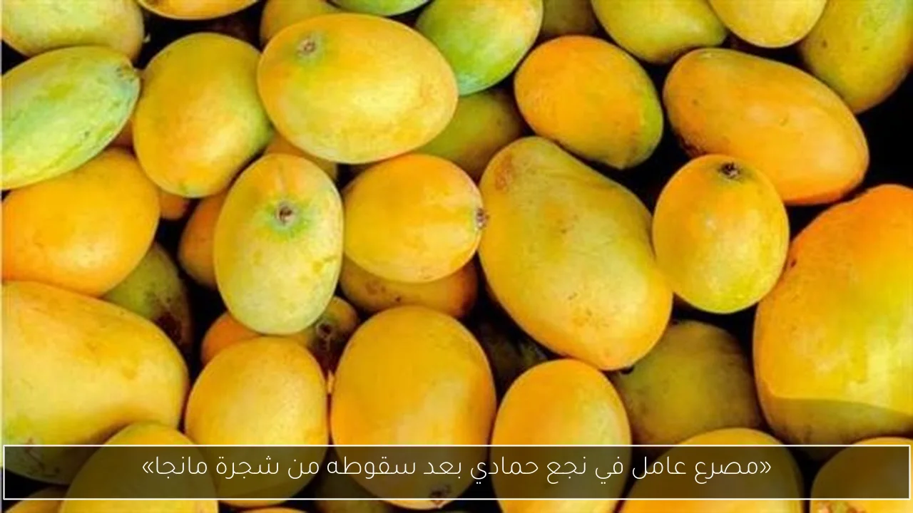 «مصرع عامل في نجع حمادي بعد سقوطه من شجرة مانجا»