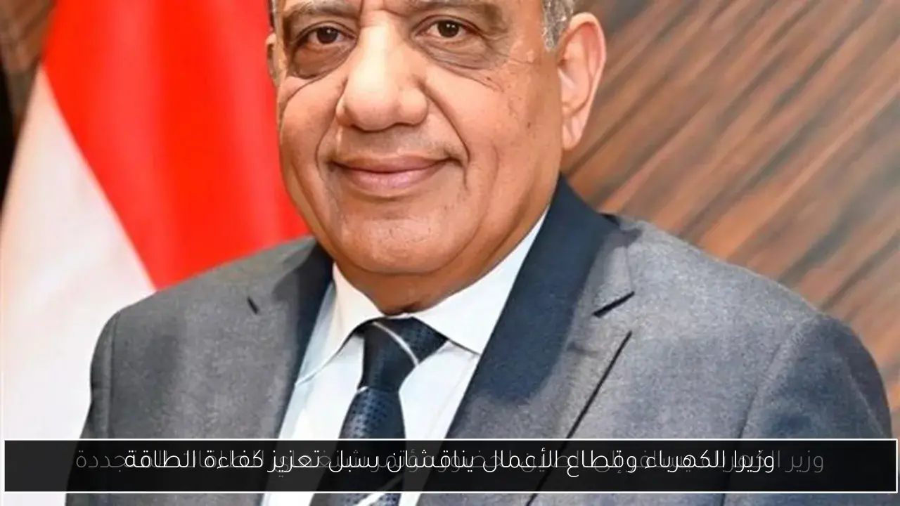 وزيرا الكهرباء وقطاع الأعمال يناقشان سبل تعزيز كفاءة الطاقة