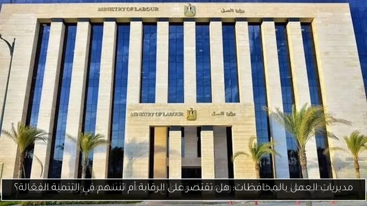 مديريات العمل بالمحافظات: هل تقتصر على الرقابة أم تسهم في التنمية الفعّالة؟