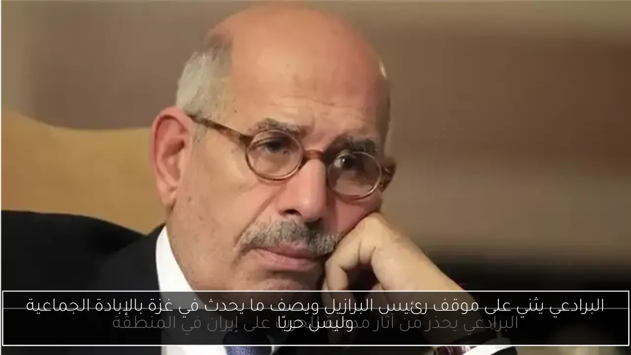 البرادعي يثني على موقف رئيس البرازيل ويصف ما يحدث في غزة بالإبادة الجماعية وليس حربًا