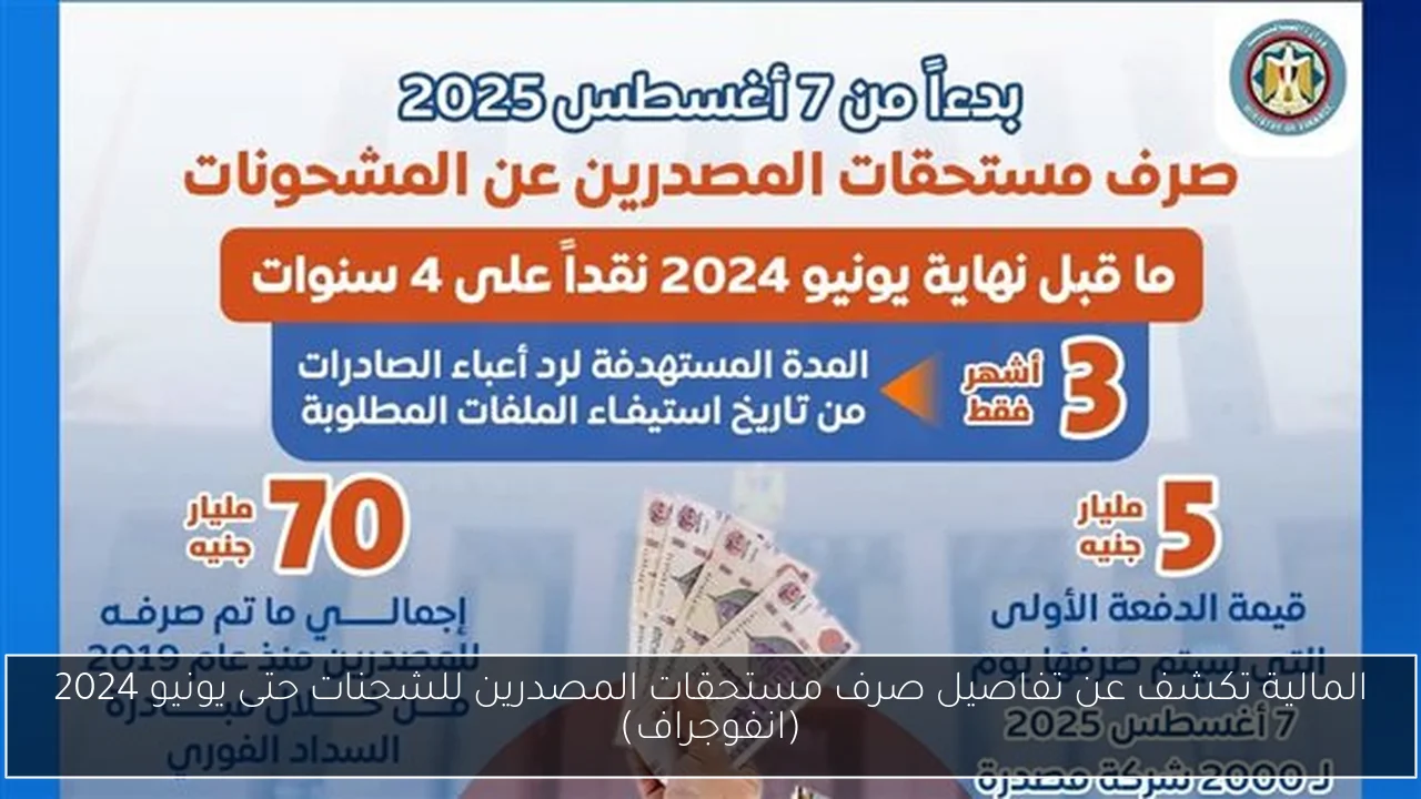 المالية تكشف عن تفاصيل صرف مستحقات المصدرين للشحنات حتى يونيو 2024 (انفوجراف)
