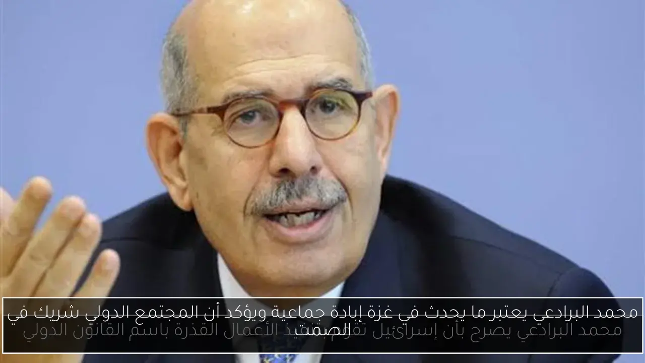 محمد البرادعي يعتبر ما يحدث في غزة إبادة جماعية ويؤكد أن المجتمع الدولي شريك في الصمت