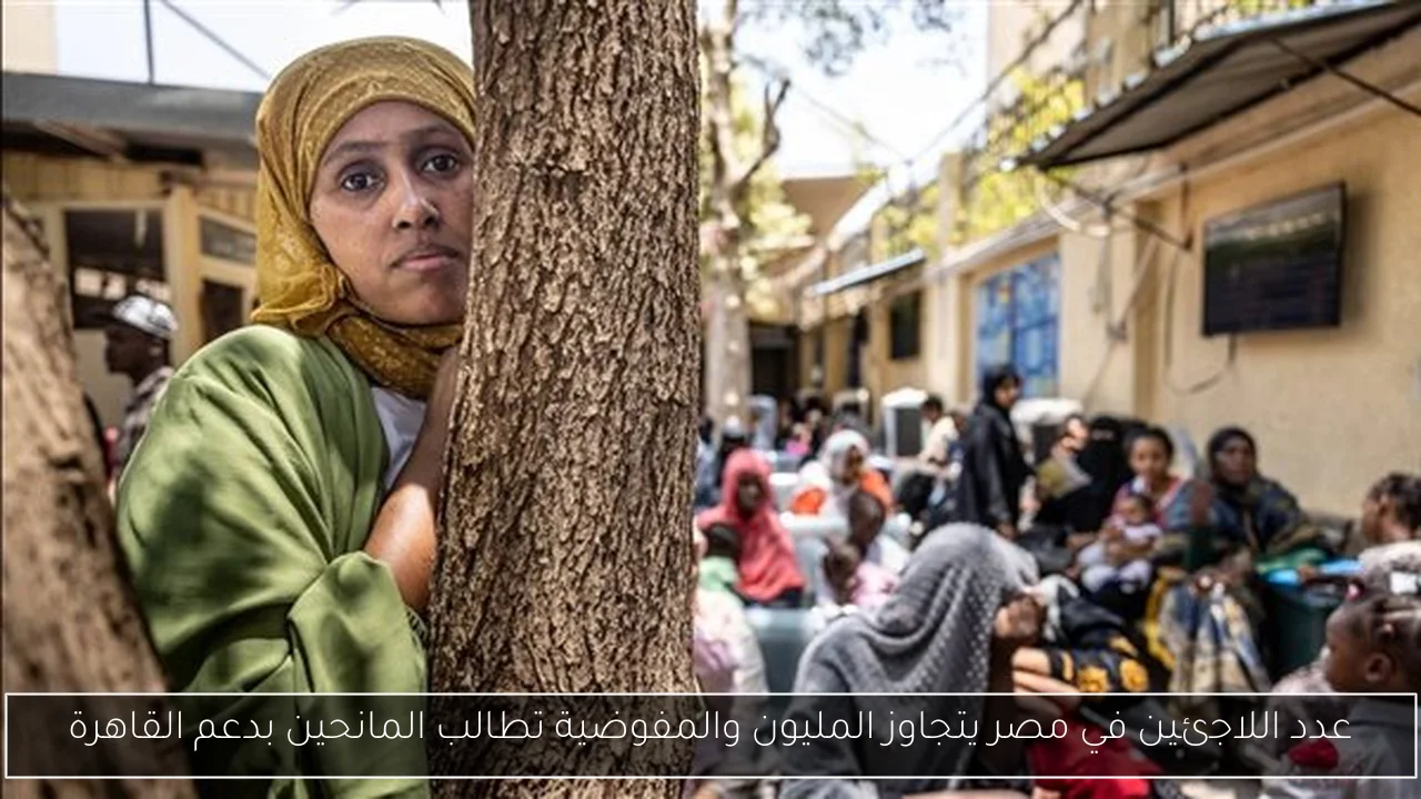 عدد اللاجئين في مصر يتجاوز المليون والمفوضية تطالب المانحين بدعم القاهرة