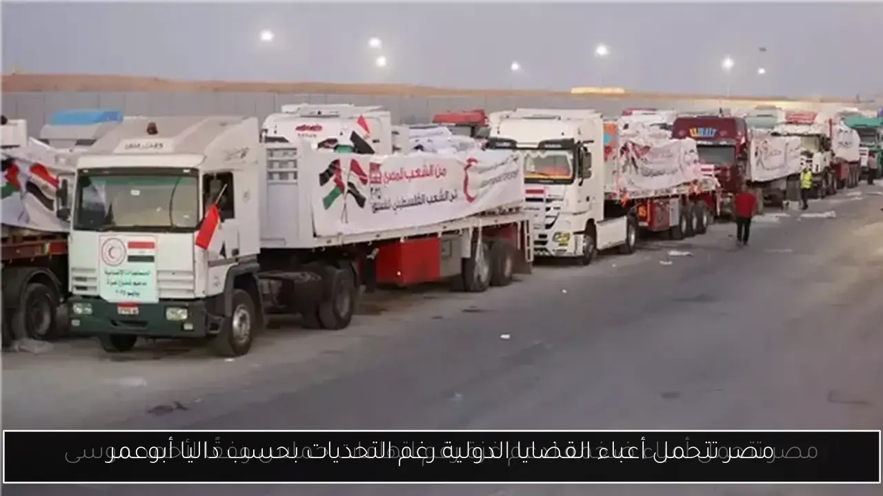 مصر تتحمل أعباء القضايا الدولية رغم التحديات بحسب داليا أبوعمر