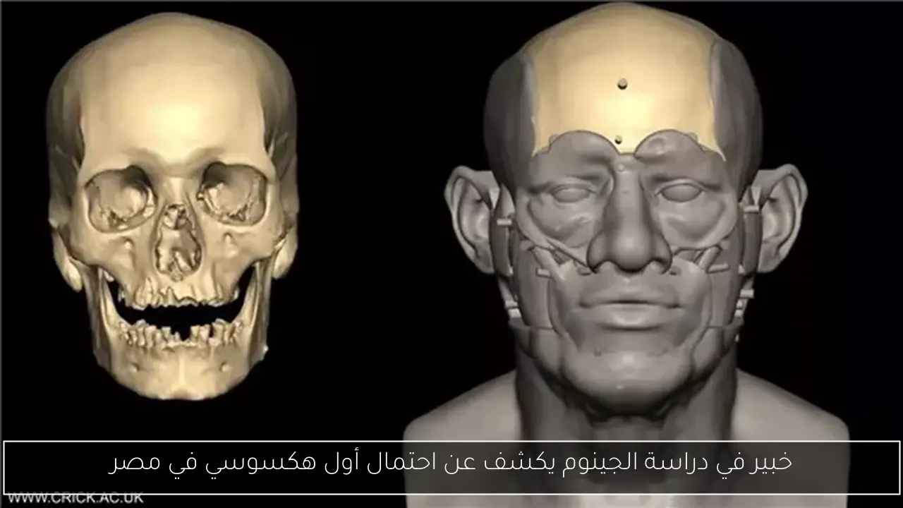 خبير في دراسة الجينوم يكشف عن احتمال أول هكسوسي في مصر