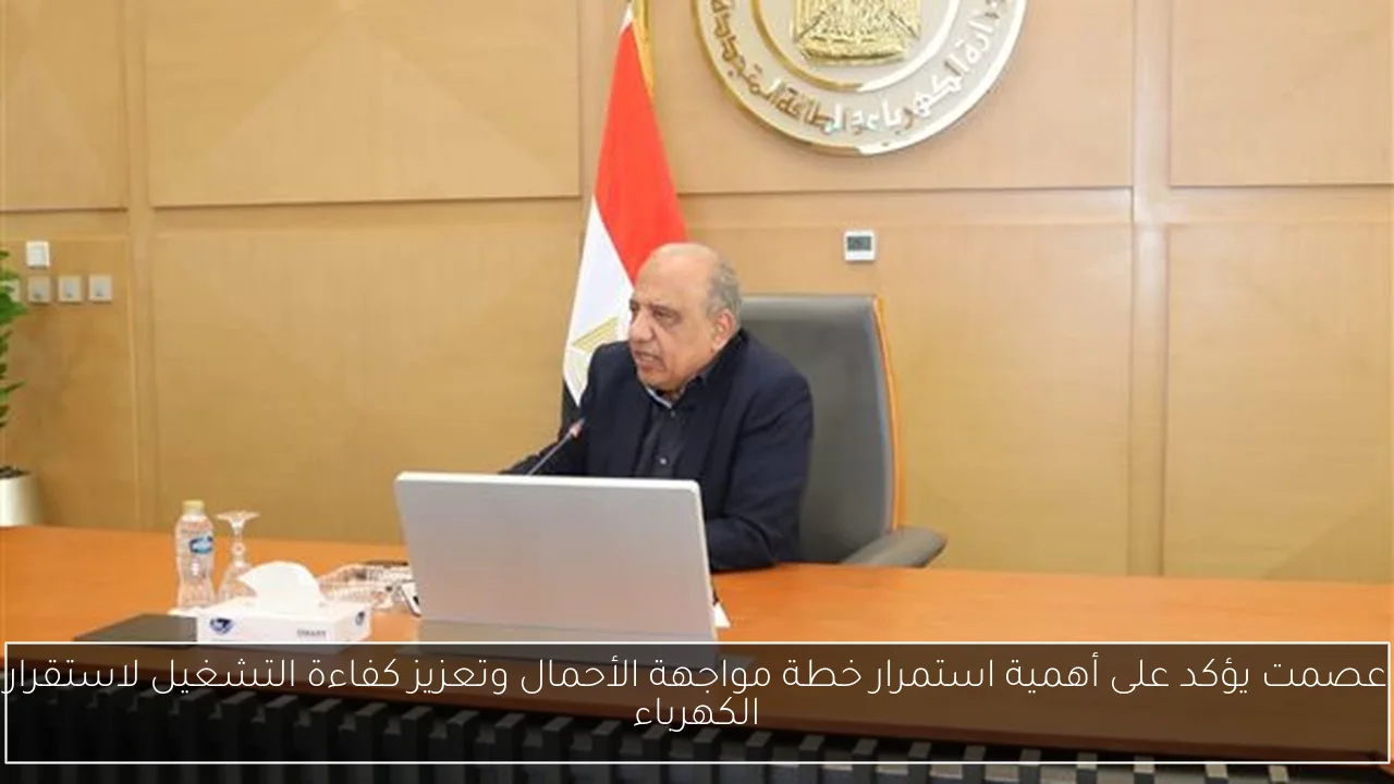 عصمت يؤكد على أهمية استمرار خطة مواجهة الأحمال وتعزيز كفاءة التشغيل لاستقرار الكهرباء