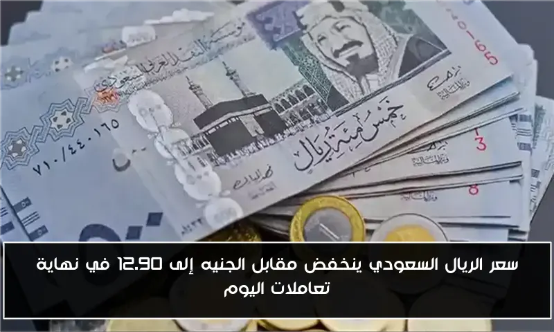 بني سويف تعرض جهودها في التحول الرقمي وتسريع تقنين أراضي الدولة