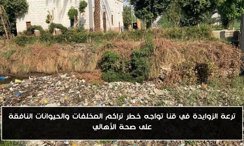 ترعة الزوايدة في قنا تواجه خطر تراكم المخلفات والحيوانات النافقة على صحة الأهالي