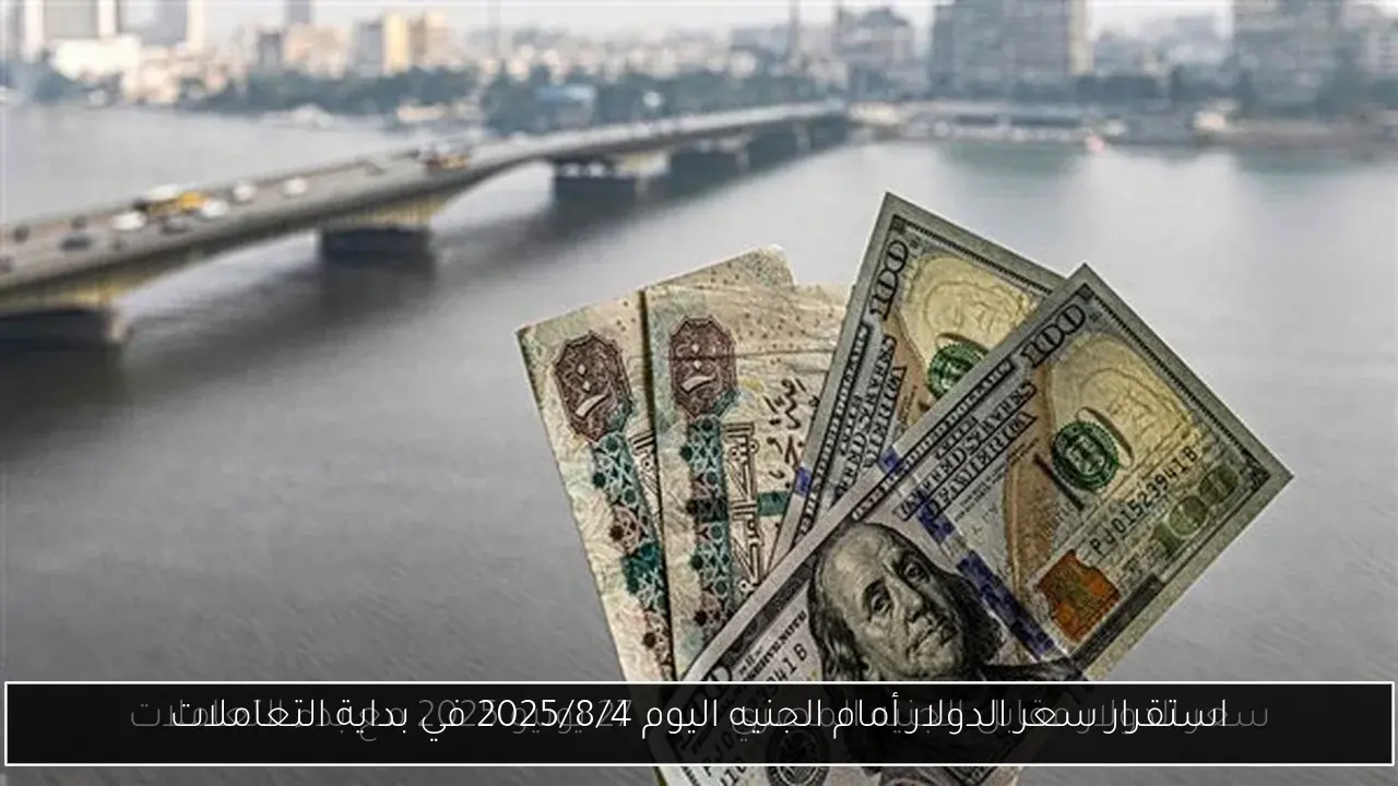 استقرار سعر الدولار أمام الجنيه اليوم 2025/8/4 في بداية التعاملات