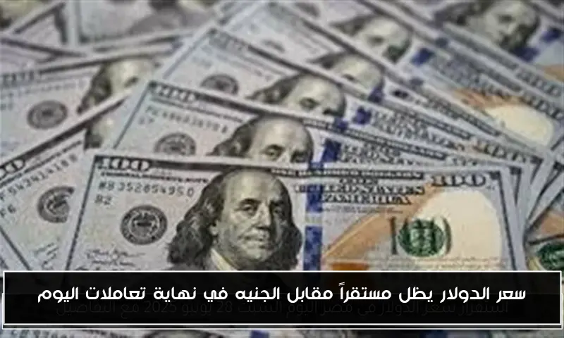 سعر الدولار يظل مستقراً مقابل الجنيه في نهاية تعاملات اليوم
