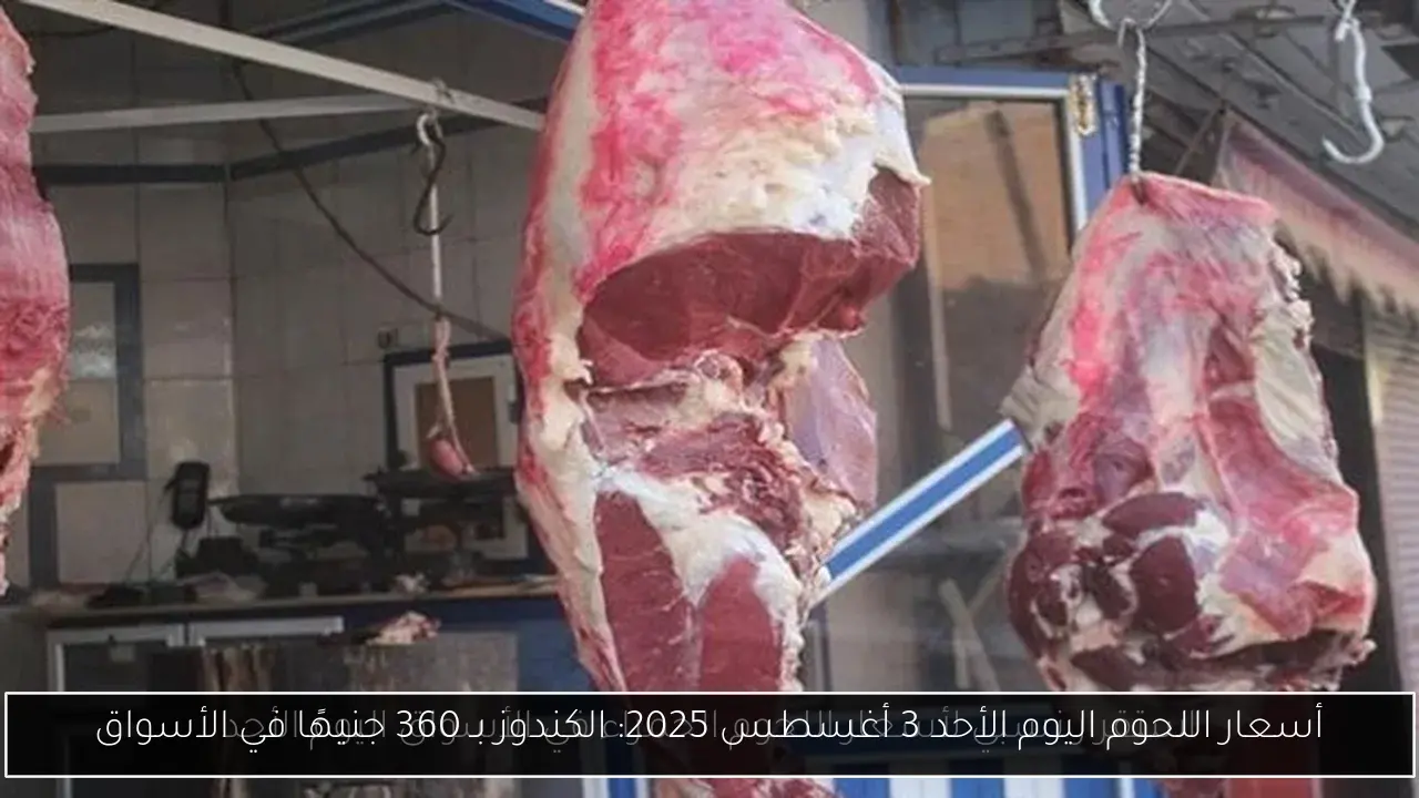 أسعار اللحوم اليوم الأحد 3 أغسطس 2025: الكندوز بـ 360 جنيهًا في الأسواق