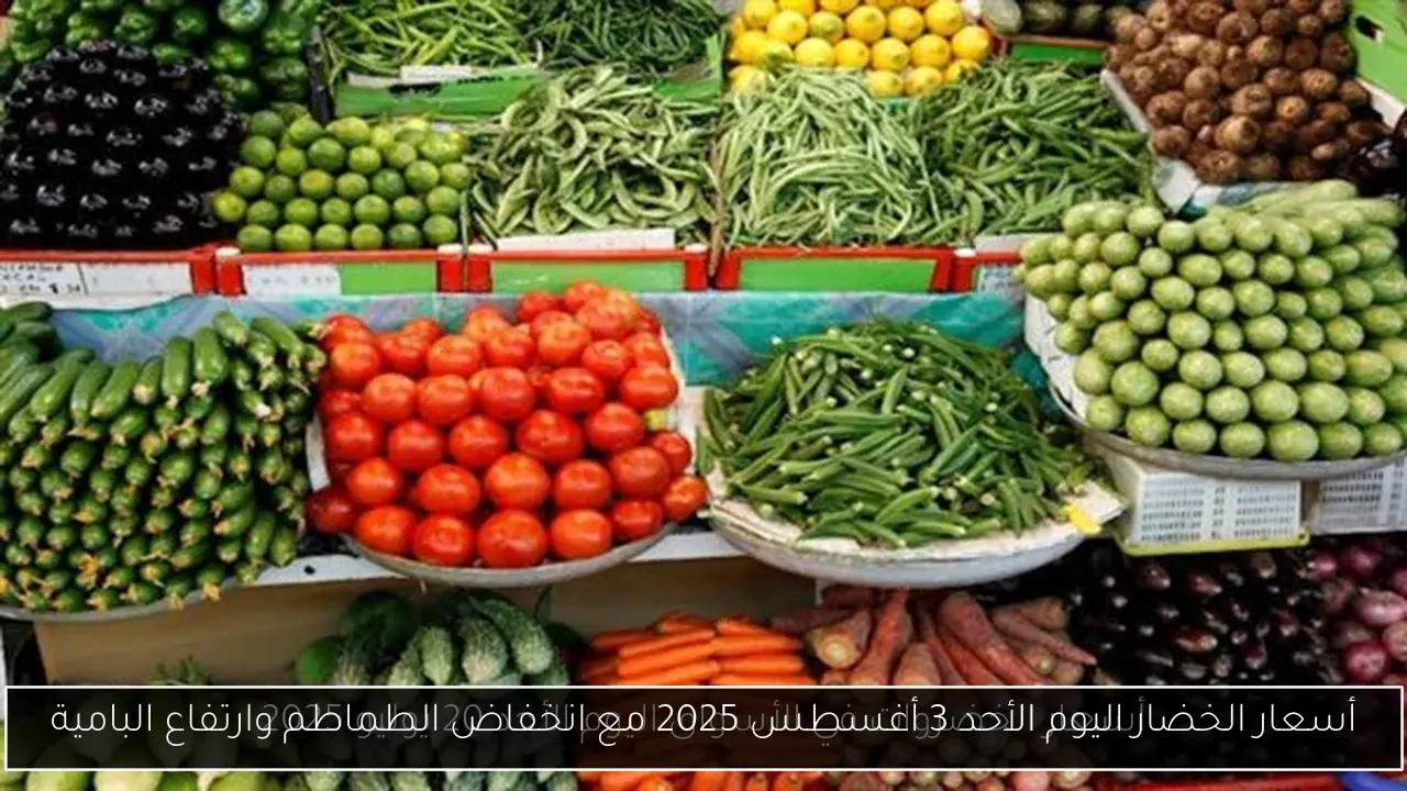 أسعار الخضار اليوم الأحد 3 أغسطس 2025 مع انخفاض الطماطم وارتفاع البامية
