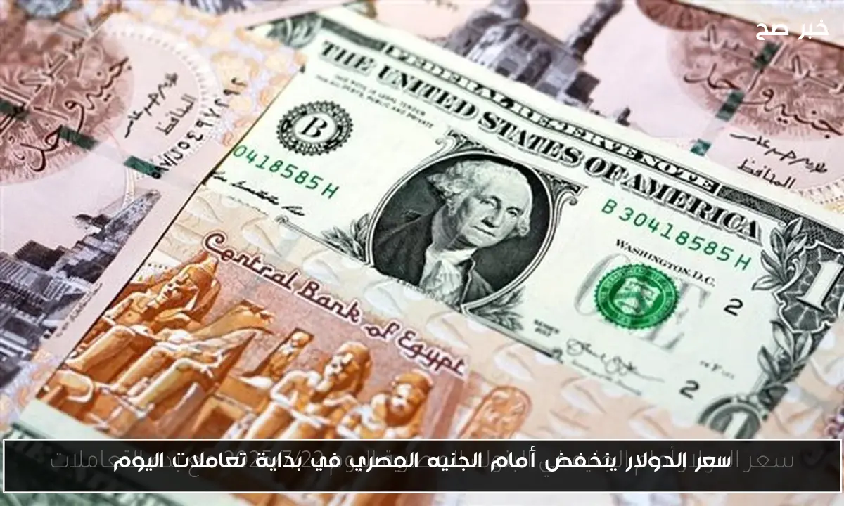 سعر الدولار ينخفض أمام الجنيه المصري في بداية تعاملات اليوم