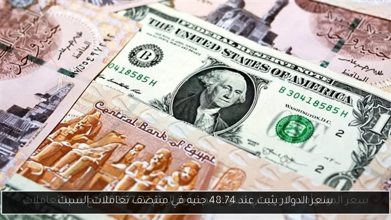سعر الدولار يثبت عند 48.74 جنيه في منتصف تعاملات السبت