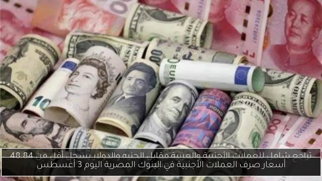 أسعار صرف العملات الأجنبية في البنوك المصرية اليوم 3 أغسطس