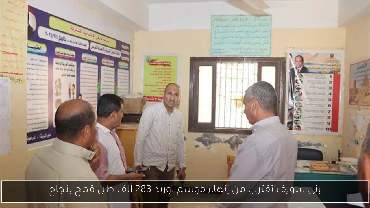 بني سويف تقترب من إنهاء موسم توريد 283 ألف طن قمح بنجاح