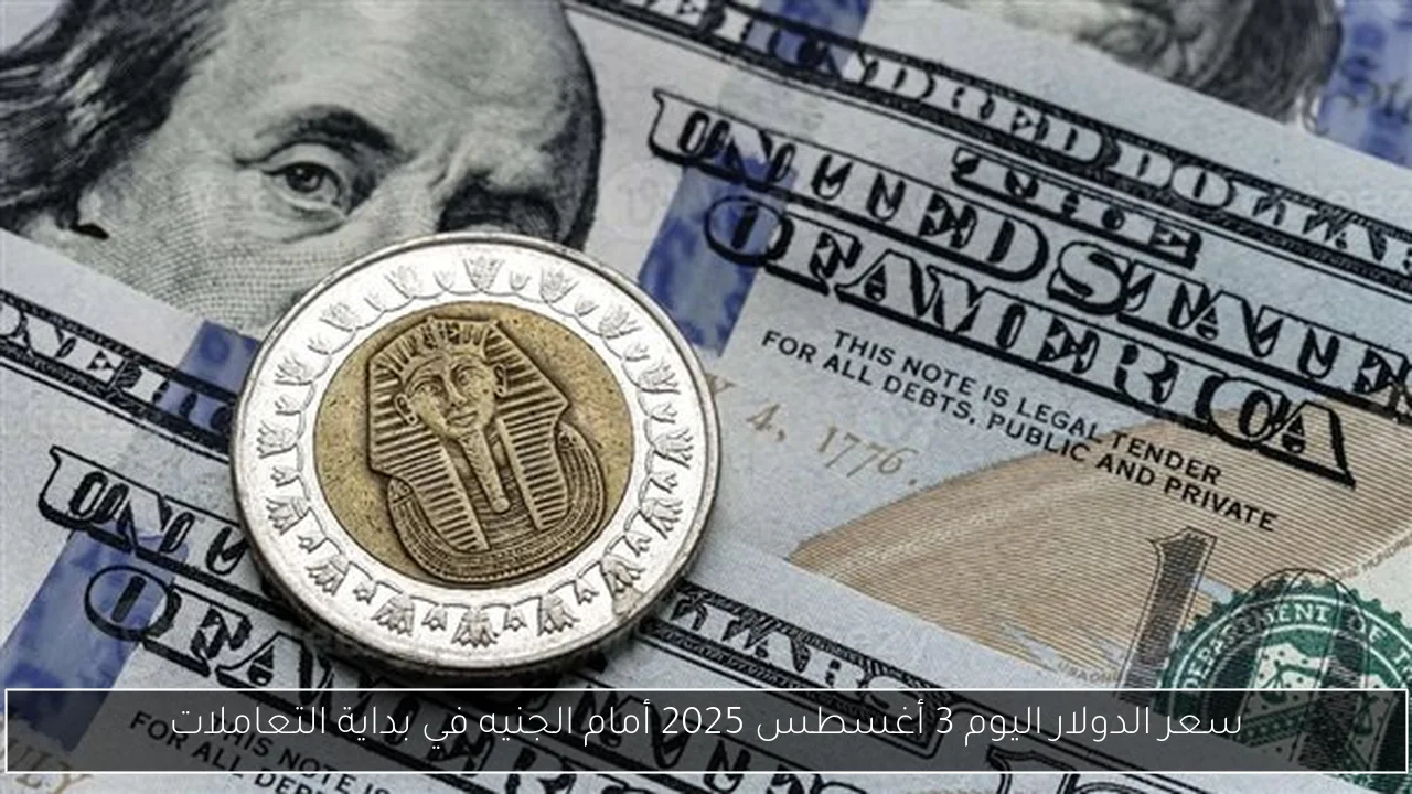 سعر الدولار اليوم 3 أغسطس 2025 أمام الجنيه في بداية التعاملات