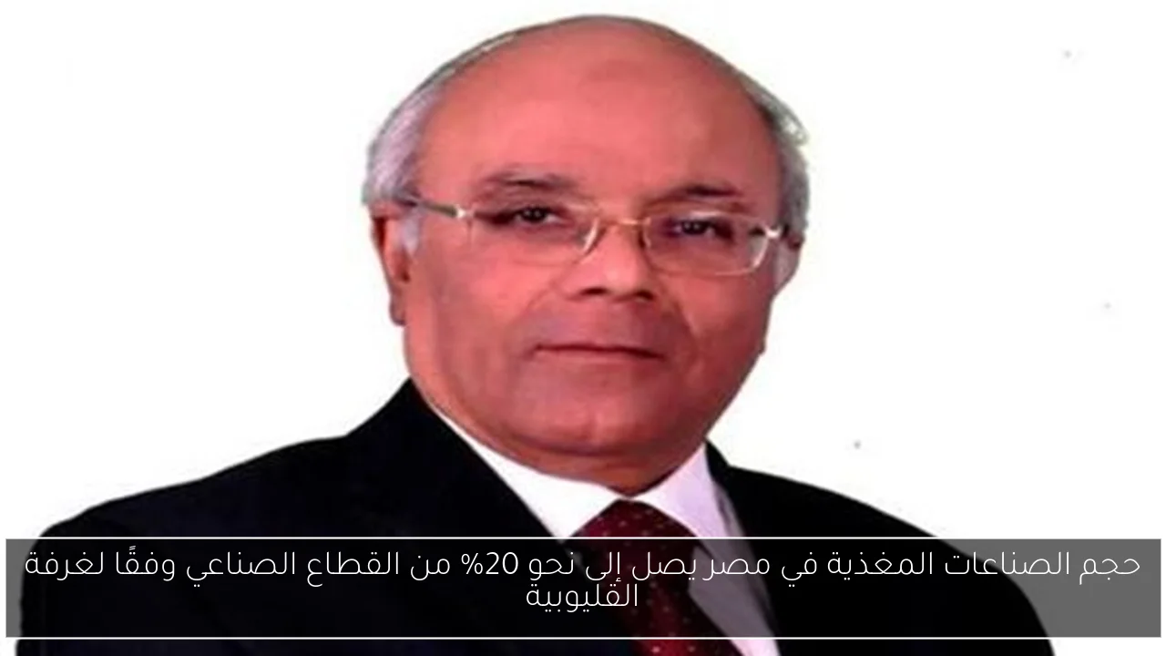 حجم الصناعات المغذية في مصر يصل إلى نحو 20% من القطاع الصناعي وفقًا لغرفة القليوبية