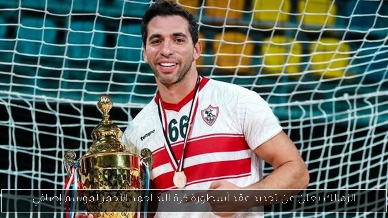الزمالك يعلن عن تجديد عقد أسطورة كرة اليد أحمد الأحمر لموسم إضافي