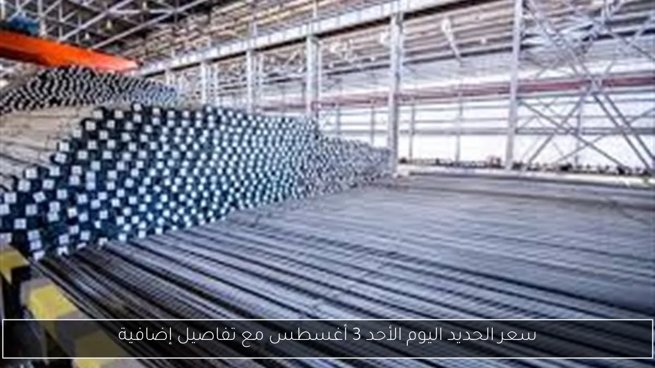 سعر الحديد اليوم الأحد 3 أغسطس مع تفاصيل إضافية