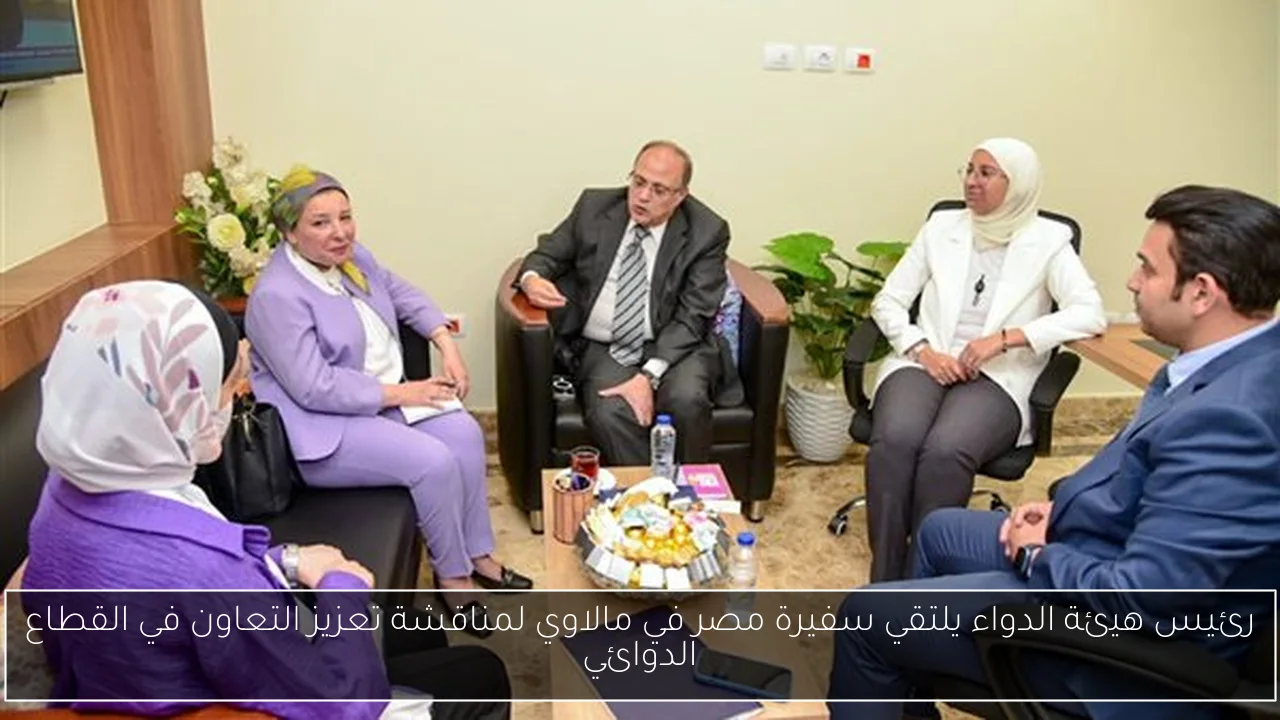 رئيس هيئة الدواء يلتقي سفيرة مصر في مالاوي لمناقشة تعزيز التعاون في القطاع الدوائي