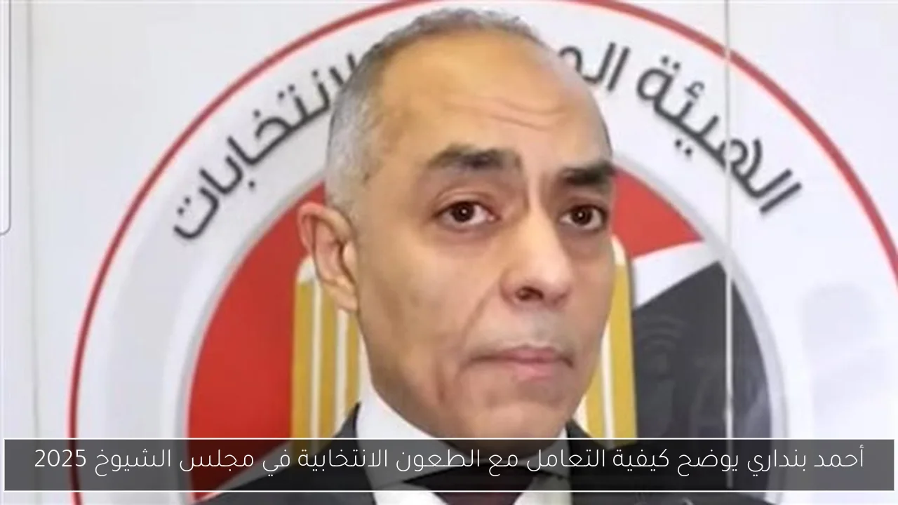 أحمد بنداري يوضح كيفية التعامل مع الطعون الانتخابية في مجلس الشيوخ 2025