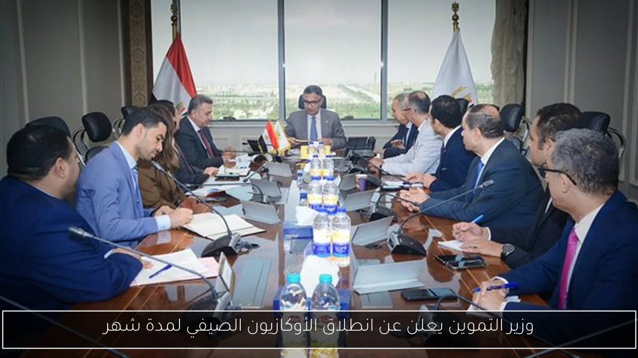 وزير التموين يعلن عن انطلاق الأوكازيون الصيفي لمدة شهر