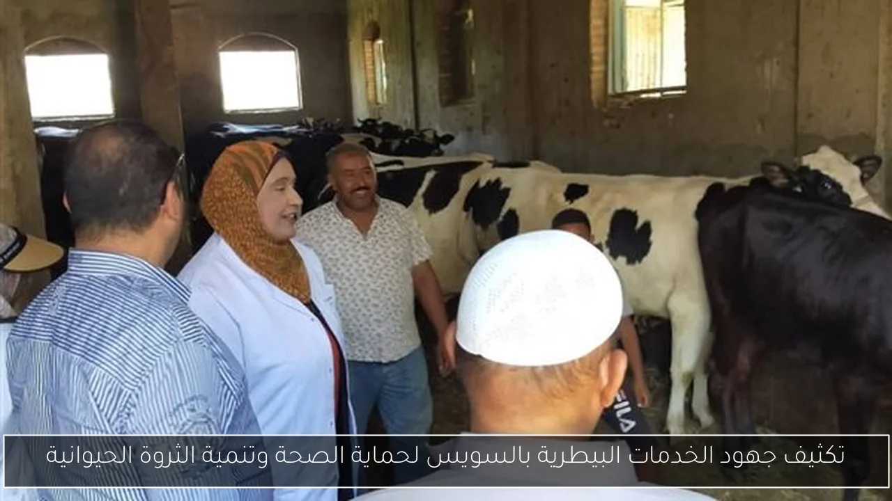 تكثيف جهود الخدمات البيطرية بالسويس لحماية الصحة وتنمية الثروة الحيوانية