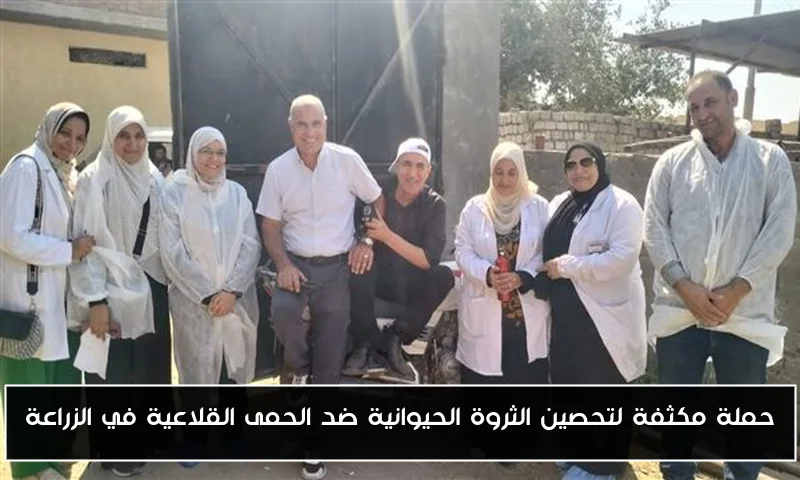حملة مكثفة لتحصين الثروة الحيوانية ضد الحمى القلاعية في الزراعة