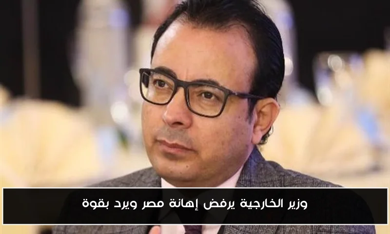 وزير الخارجية يرفض إهانة مصر ويرد بقوة