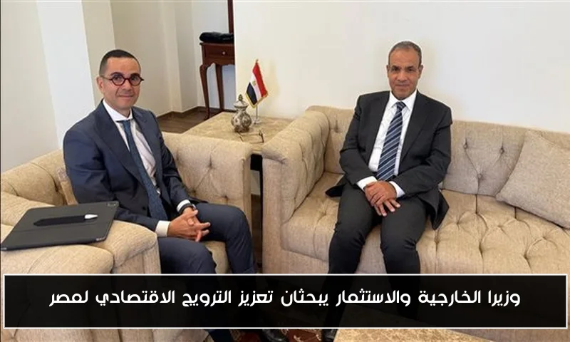 وزيرا الخارجية والاستثمار يبحثان تعزيز الترويج الاقتصادي لمصر