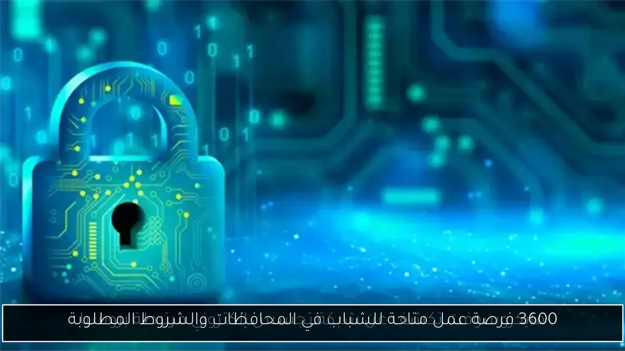 3600 فرصة عمل متاحة للشباب في المحافظات والشروط المطلوبة