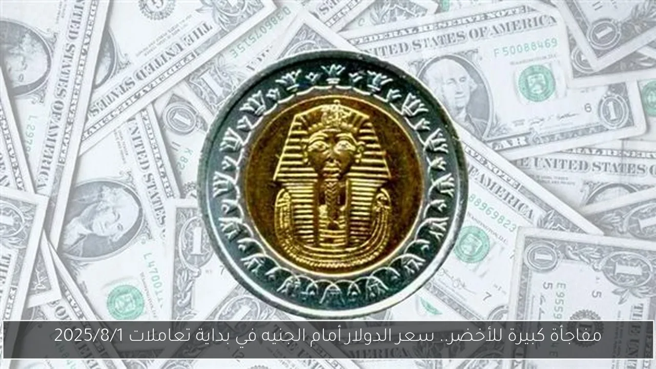 مفاجأة كبيرة للأخضر.. سعر الدولار أمام الجنيه في بداية تعاملات 2025/8/1