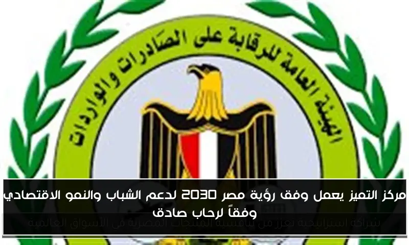 مركز التميز يعمل وفق رؤية مصر 2030 لدعم الشباب والنمو الاقتصادي وفقاً لرحاب صادق