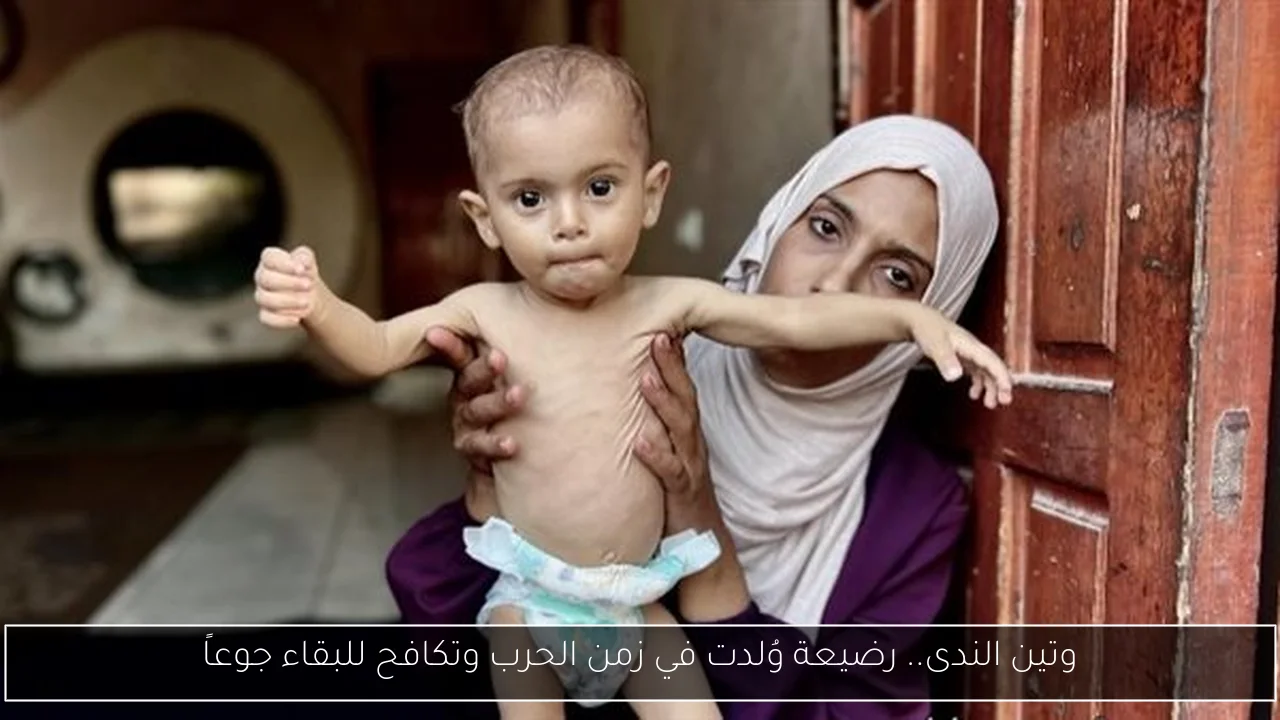 وتين الندى.. رضيعة وُلدت في زمن الحرب وتكافح للبقاء جوعاً