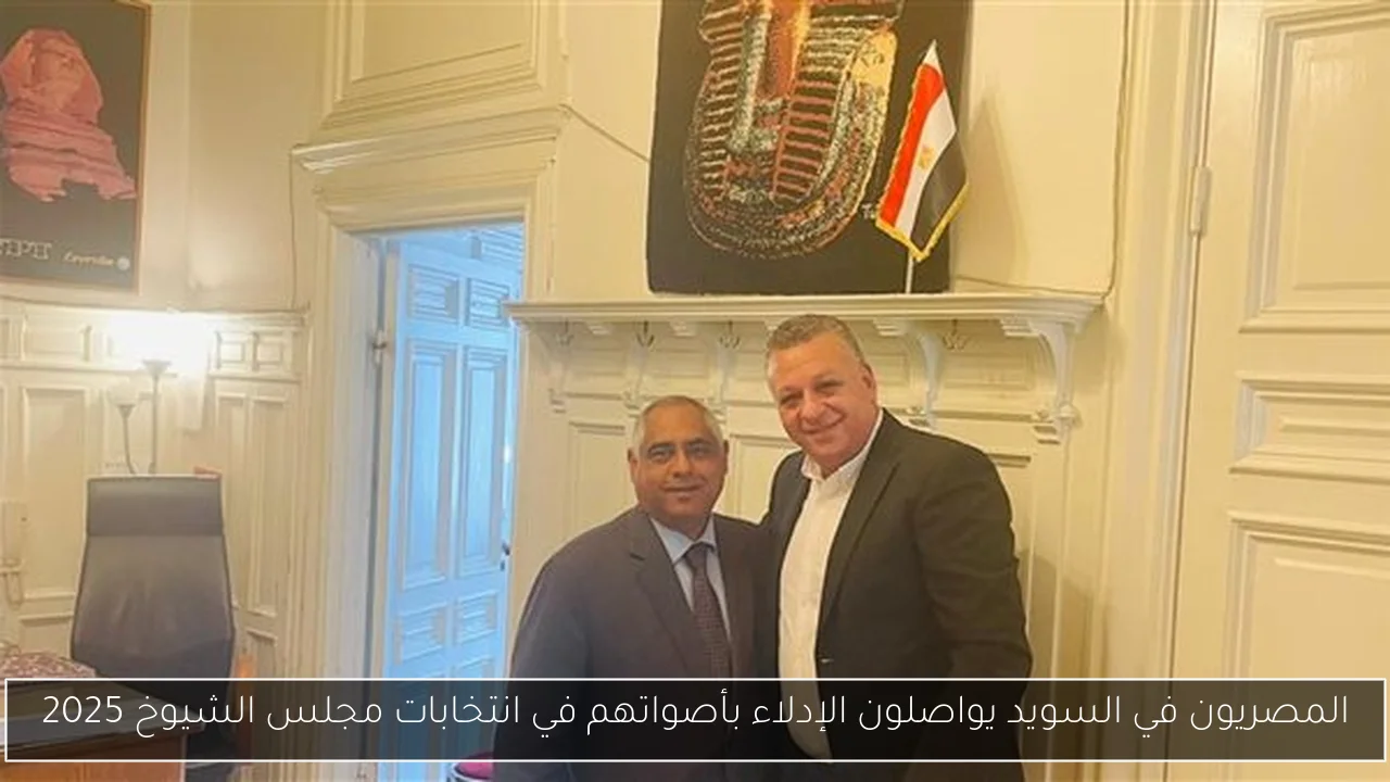 المصريون في السويد يواصلون الإدلاء بأصواتهم في انتخابات مجلس الشيوخ 2025