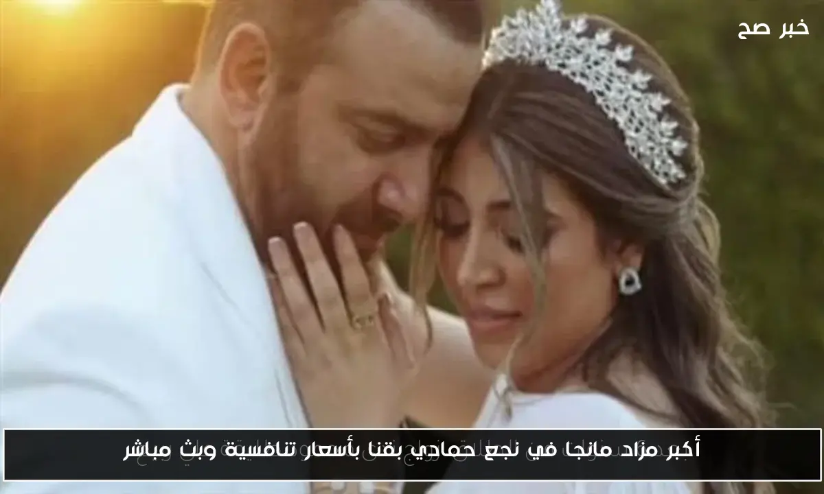 أكبر مزاد مانجا في نجع حمادي بقنا بأسعار تنافسية وبث مباشر